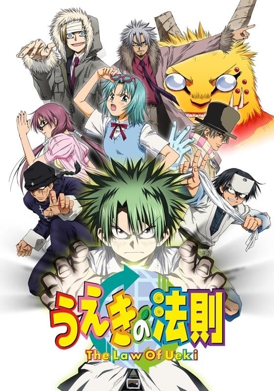 植木的法则封面图