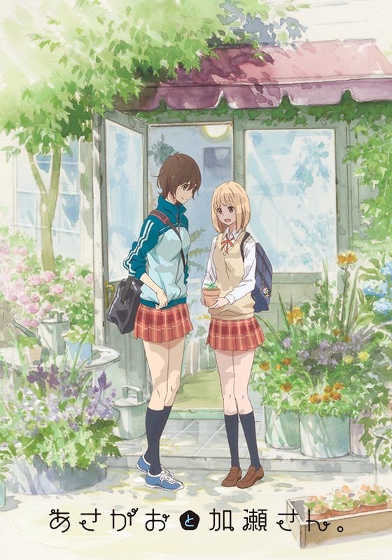 牵牛花与加濑同学封面图