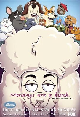 宠宝话疗团封面图