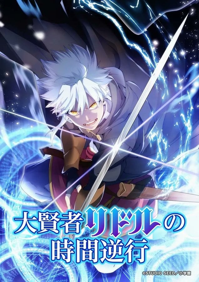 大贤者里德尔的时空逆行封面图